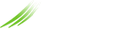 Logo with slogan inverted